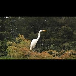 Meet your Posher, Madeline